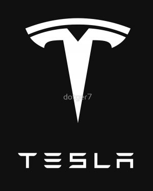 Tesla T-Shirt India